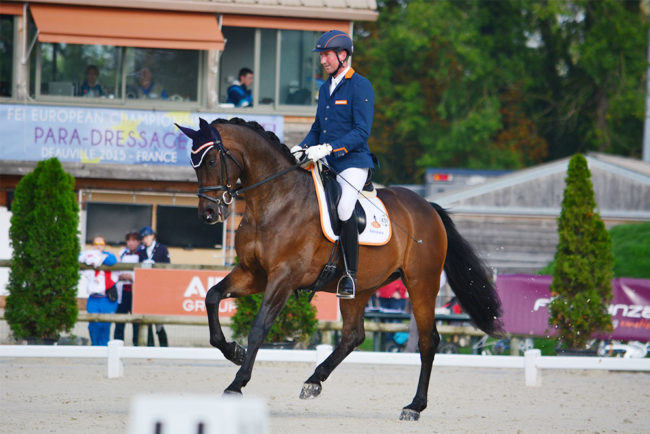 Frank hosmar_paarden_alphaville9