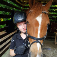 Frank hosmar_paarden_chester2 Frank hosmar_paarden_chester2