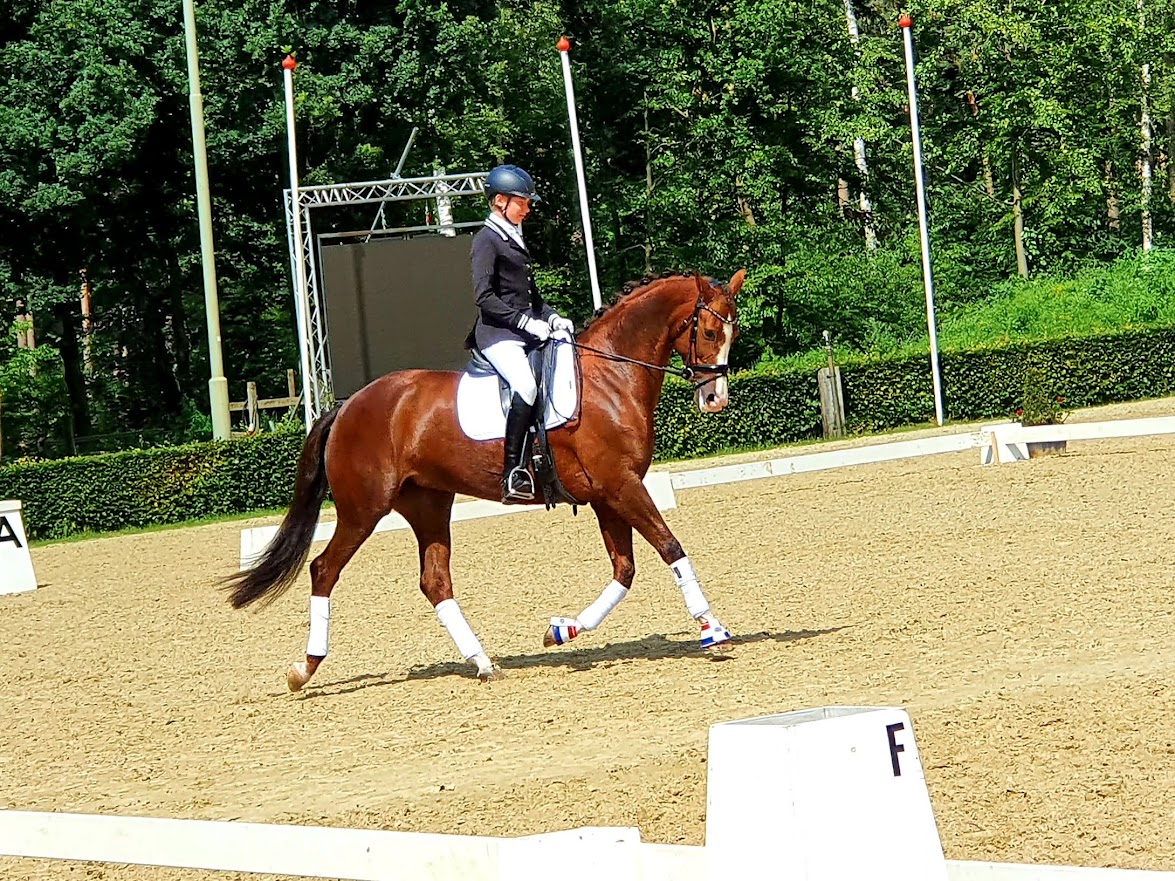 Gwendolyn wint finale wierden